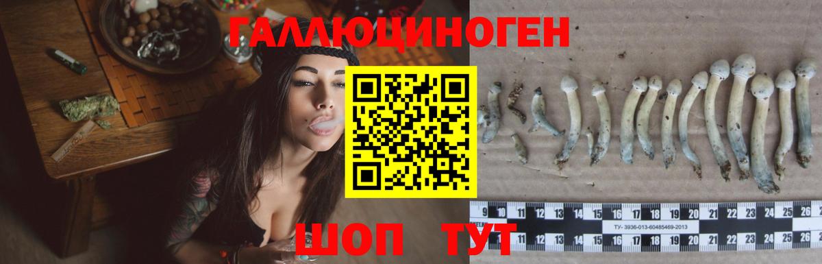 Тимашёвск  Псилоцибиновые грибы мухоморы  Вход с VPN 